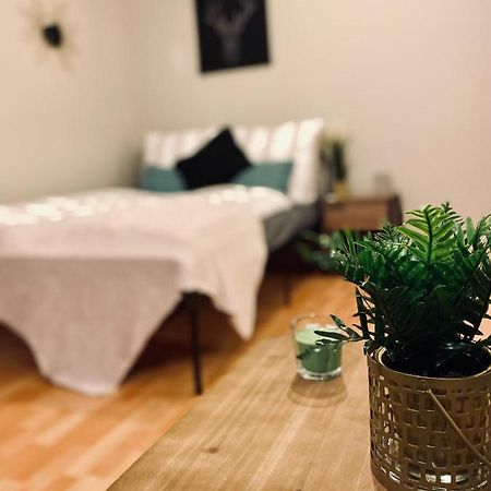 Saniertes Studio - Elisa - Mit Balkon, Wlan, Smart-Tv & Kueche In City-Naehe Ερφούρτη Εξωτερικό φωτογραφία